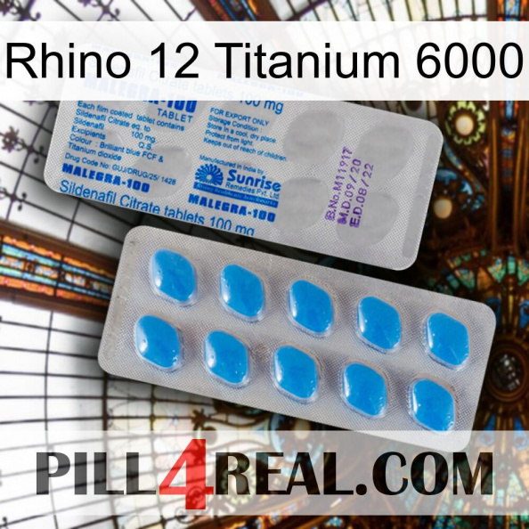 Rhino 12 Titanium 6000 new15.jpg